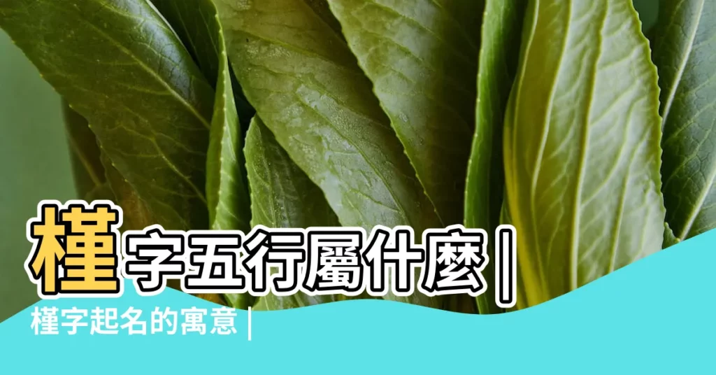 槿字五行屬什麼 |槿字起名的寓意 |槿是什麼意思槿字五行屬什麼 |【槿什麼五行屬什麼意思】