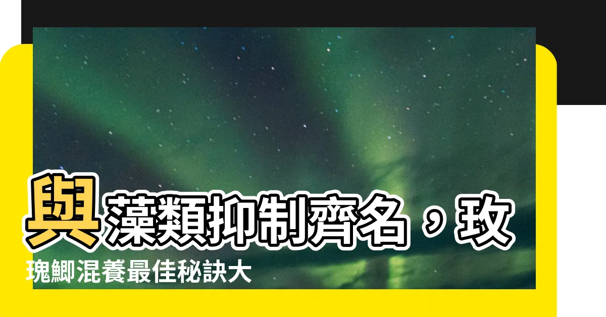 【玫瑰鯽混養】與藻類抑制齊名，玫瑰鯽混養最佳秘訣大公開
