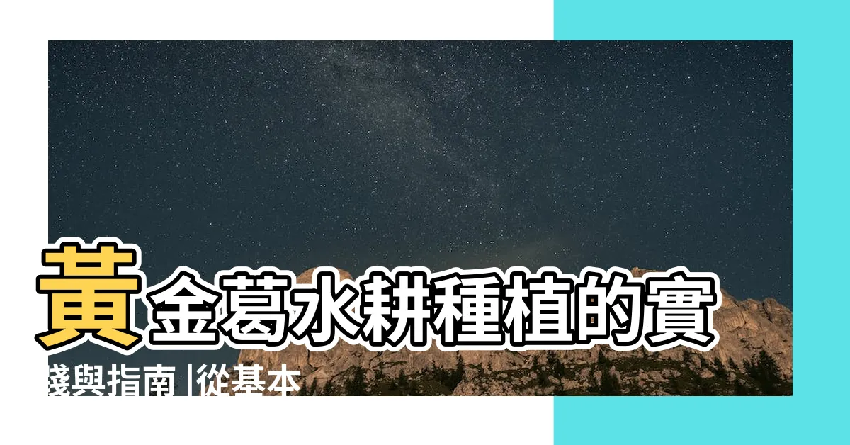 【葛類植物】黃金葛水耕種植的實踐與指南 |從基本步驟到進階技巧 |