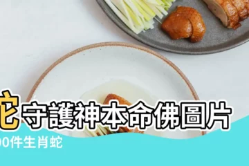 【蛇的生肖本命佛圖】蛇守護神本命佛圖片 |100件生肖蛇守護佛 |生肖蛇本命佛普賢菩薩忌養龜兔不配豬型飾品 |