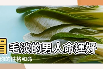 【男人眉毛越來越少好嗎】眉毛淡的男人命運好嗎 |你的性格和命運會是怎樣呢 |你的眉毛稀疏嗎 |