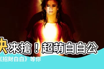 【招財白白】快來搶！超萌白白公仔《招財白白》等你帶回家！