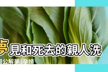 【孕婦夢見去世的親人洗澡】夢見和死去的親人洗澡周公解夢 |孕婦夢見已經去世的親人説明什麼 |孕婦夢見親人去世是什麼意思孕婦夢見親人去世預示着什麼 |