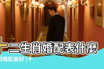 【十二屬相婚配】十二生肖婚配表什麼屬相婚配最好 |十二生肖婚配表 |十二生肖男女婚配表十二屬相最佳婚配大全 |