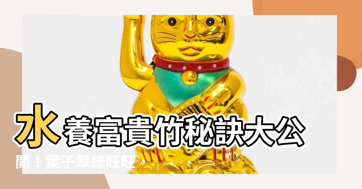 【富貴竹 水養】水養富貴竹秘訣大公開！葉子翠綠旺旺，養出你的好運氣
