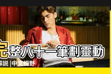 【姓名搭配吉數圖如何看】完整八十一筆劃靈動數解説 |中文視野 |姓名暗藏密碼術數預測吉凶 |