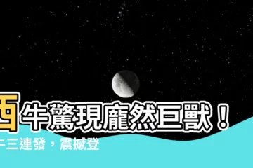【西牛】西牛驚現龐然巨獸！犀牛三連發，震撼登場