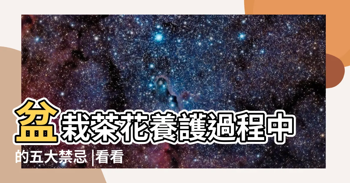 【茶花種植 禁忌】盆栽茶花養護過程中的五大禁忌 |看看茶花 |茶花總是養不活 |