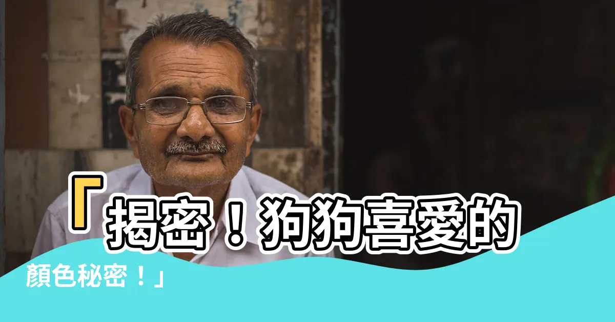【狗狗喜歡的顏色】「揭密！狗狗喜愛的顏色秘密！」