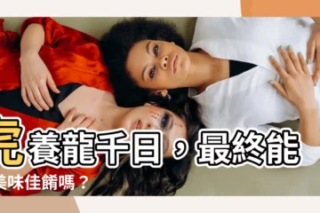 【虎養龍】虎養龍千日，最終能成美味佳餚嗎？