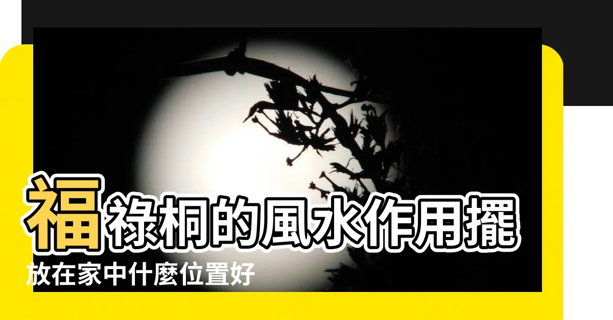 【福祿桐 風水】福祿桐的風水作用擺放在家中什麼位置好 |羽葉福祿桐 |盆栽福祿桐與家居風格的擺放 |