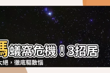 【蟻窩】螞蟻窩危機！3招居家大絕，徹底驅散惱人螞蟻大軍