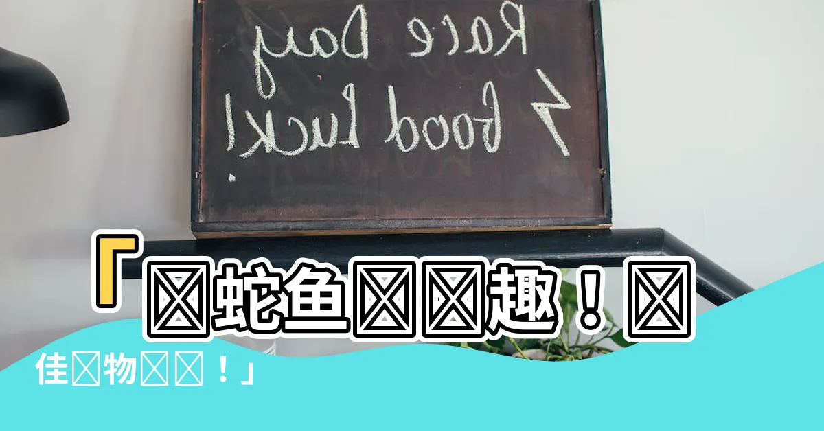 【蛇魚飼養】「養蛇魚尋樂趣！絕佳寵物選擇！」