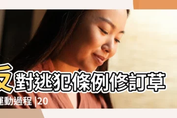【2019年3月15日通過了】反對逃犯條例修訂草案運動過程 |2019年3月至6月 |香港特別行政區立法會 |