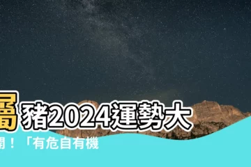 【屬豬2024】屬豬2024運勢大公開！「有危自有機」，逆勢翻盤有望！