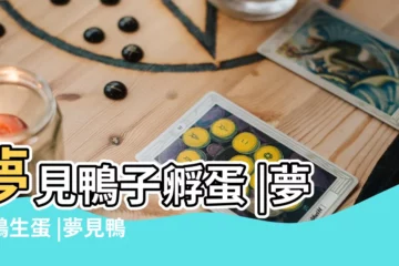 【周公解夢夢到鴨子生蛋】夢見鴨子孵蛋 |夢見鴨生蛋 |夢見鴨子生蛋 |