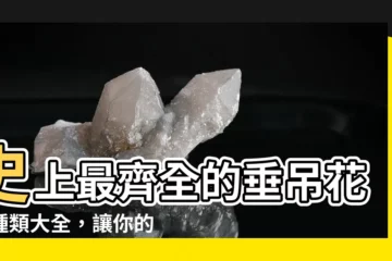 【垂吊的花】史上最齊全的垂吊花卉種類大全，讓你的居家垂直綠化不再單調！