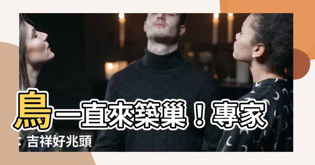 【鳥一直來築巢】鳥一直來築巢！專家：吉祥好兆頭