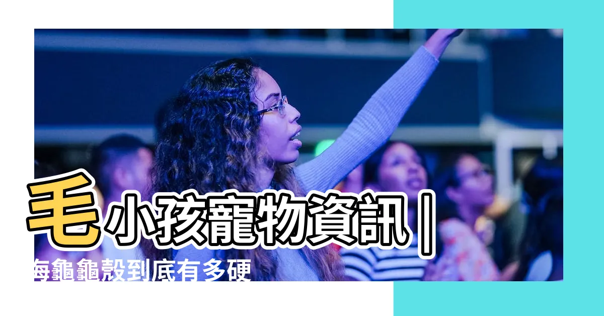 【龜殼作用】毛小孩寵物資訊 |海龜龜殼到底有多硬 |Afurkid |
