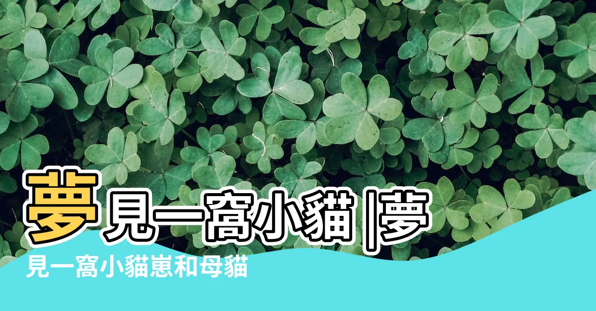 【夢到一窩小貓】夢見一窩小貓 |夢見一窩小貓崽和母貓是什麼意思 |夢見一窩小貓 |