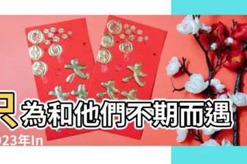 【英國花店名字大全】只為和他們不期而遇 |2023年Instagram風高級感店名英文花店 |2023洋氣的 |