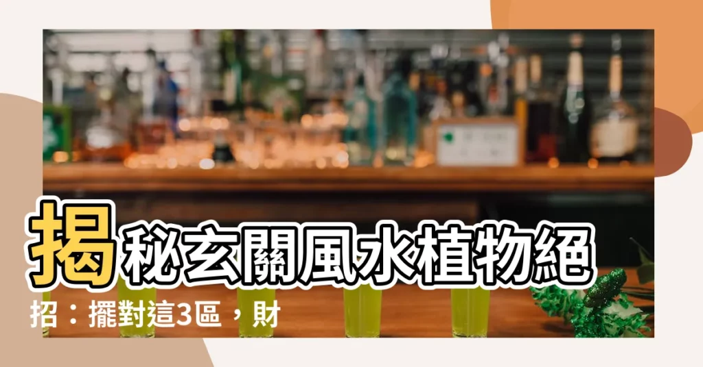 【玄關風水植物】揭秘玄關風水植物絕招：擺對這3區，財運滾滾來！