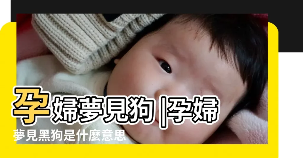 孕婦夢見狗 |孕婦夢見黑狗是什麼意思 |周公解夢 |【懷孕夢到狗追小偷】