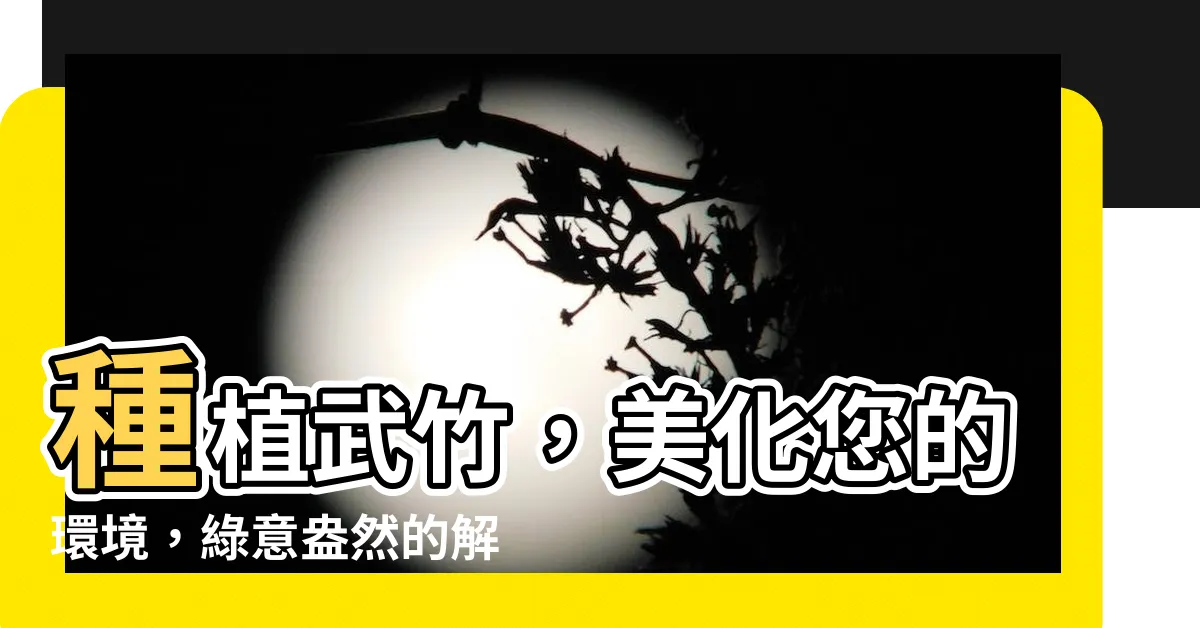 【武竹種植】種植武竹，美化您的環境，綠意盎然的解方！