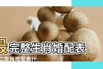 【屬相婚配表】最完整生肖婚配表 |十二生肖婚配表什麼屬相婚配最好 |十二生肖男女婚配表十二屬相最佳婚配大全 |