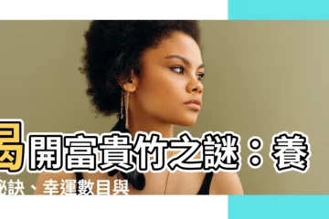 【富貴竹】揭開富貴竹之謎：養殖秘訣、幸運數目與風水擺放