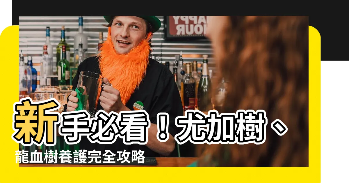 【尤加樹龍血樹】新手必看！尤加樹、龍血樹養護完全攻略