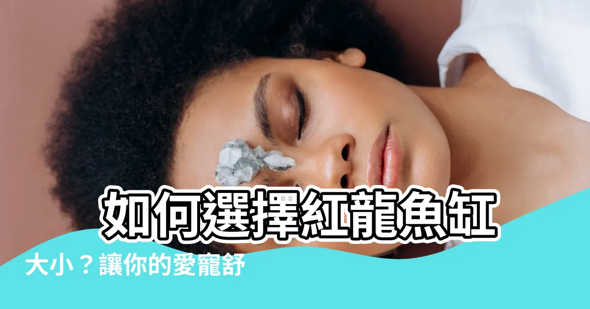 【紅龍魚缸大小】 如何選擇紅龍魚缸大小？讓你的愛寵舒適的生活環境