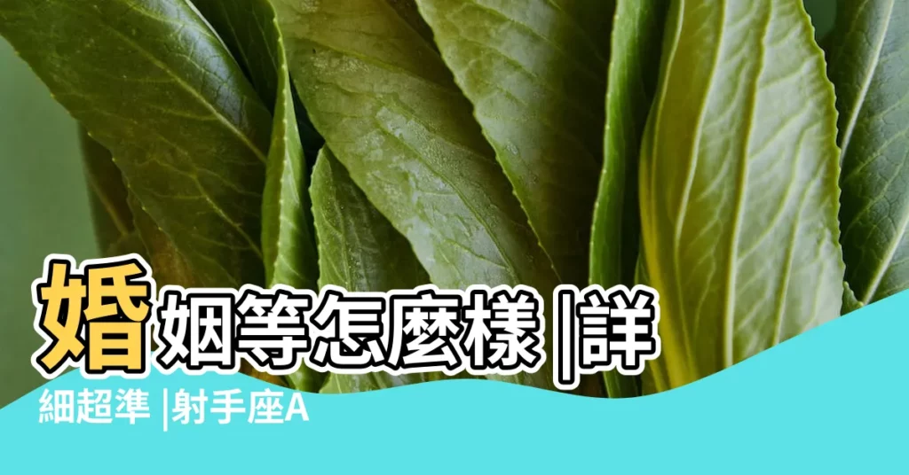 婚姻等怎麼樣 |詳細超準 |射手座A型 |【射手女o型血交際】