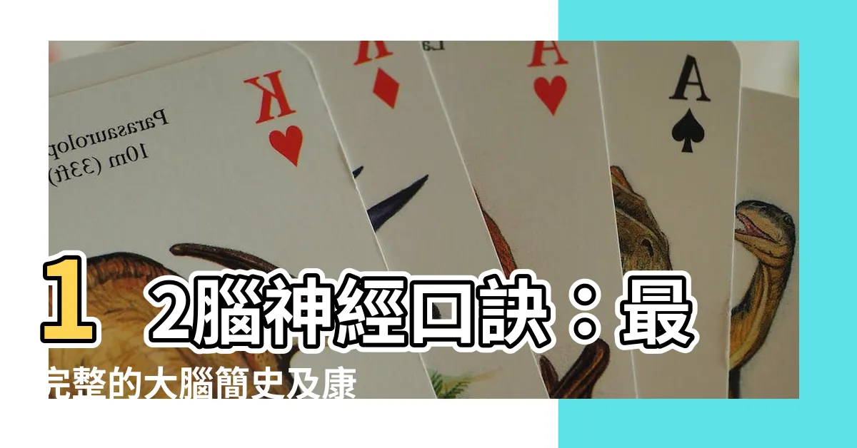 【12腦神經口訣】12腦神經口訣：最完整的大腦簡史及康復師必記的神經圖譜