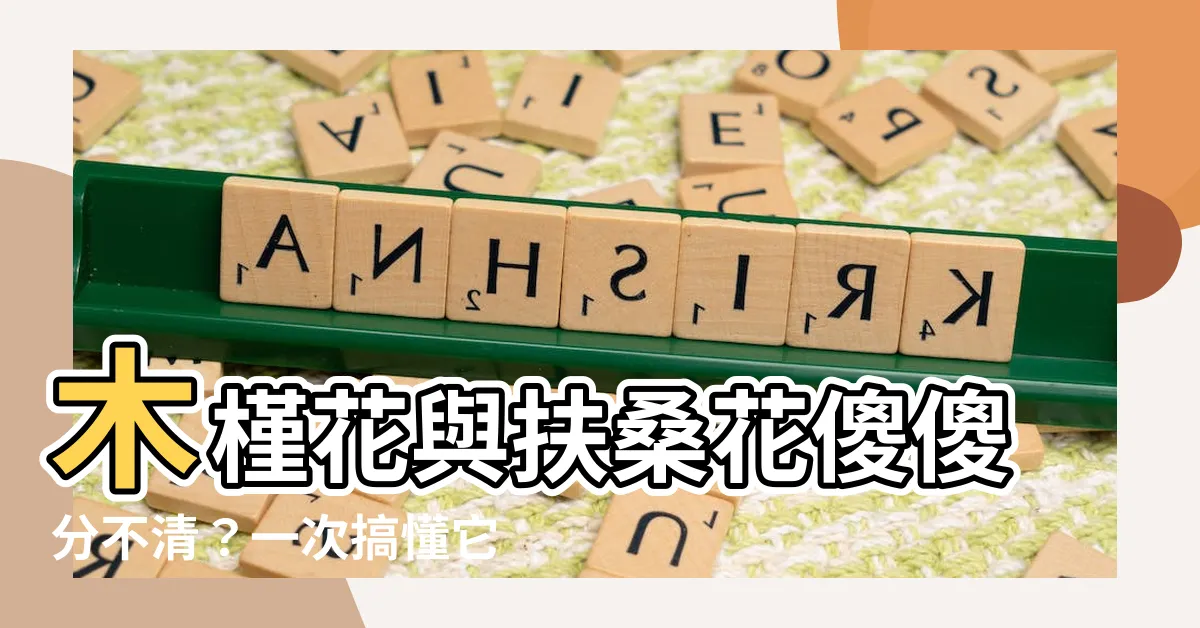【木槿花扶桑花】木槿花與扶桑花傻傻分不清？一次搞懂它們的差別吧！
