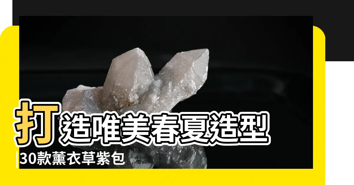 【深紫色包包穿搭】打造唯美春夏造型 |30款薰衣草紫包包推薦 |公開2023秋冬關鍵流行色 |
