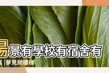 【夢見女兒在學校宿舍睡地板】場景有學校有宿舍有家裏 |夢見爬樓梯 |不是發橫財就是快升職 |