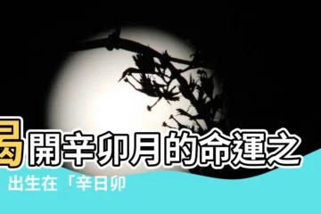 【辛卯月】揭開辛卯月的命運之謎！出生在「辛日卯月辛卯時」有何特別？