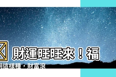 【福祿桐 土壤】🤑 財運旺旺來！福祿桐這樣種，財富滾滾不嫌少！ 💰
