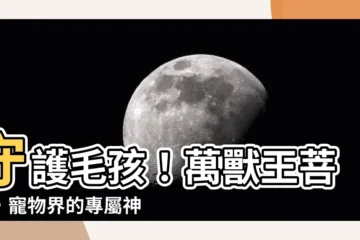 【萬獸王菩薩】守護毛孩！萬獸王菩薩，寵物界的專屬神明