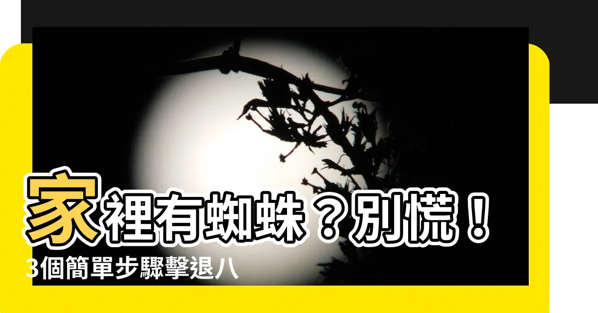 【屋企有蜘蛛】家裡有蜘蛛?別慌!3個簡單步驟擊退八腳室友!