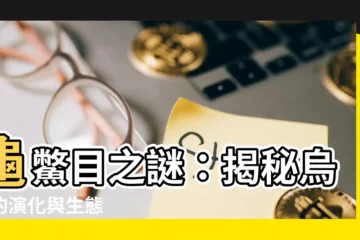 【烏龜】龜鱉目之謎：揭秘烏龜的演化與生態