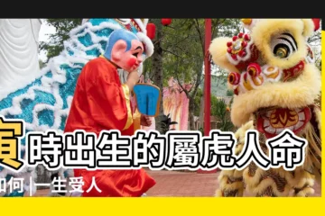 【寅時出生屬老虎好嗎】寅時出生的屬虎人命運如何 |一生受人敬重 |為什麼老虎在寅時最猛 |