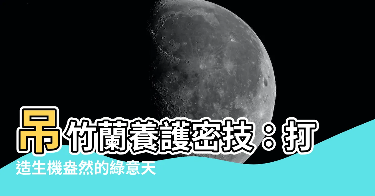 【吊竹蘭】吊竹蘭養護密技：打造生機盎然的綠意天堂