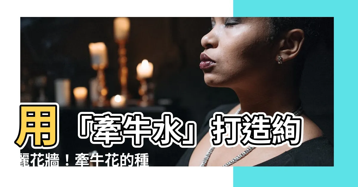 【牽牛水】用「牽牛水」打造絢麗花牆！牽牛花的種植、照顧懶人包
