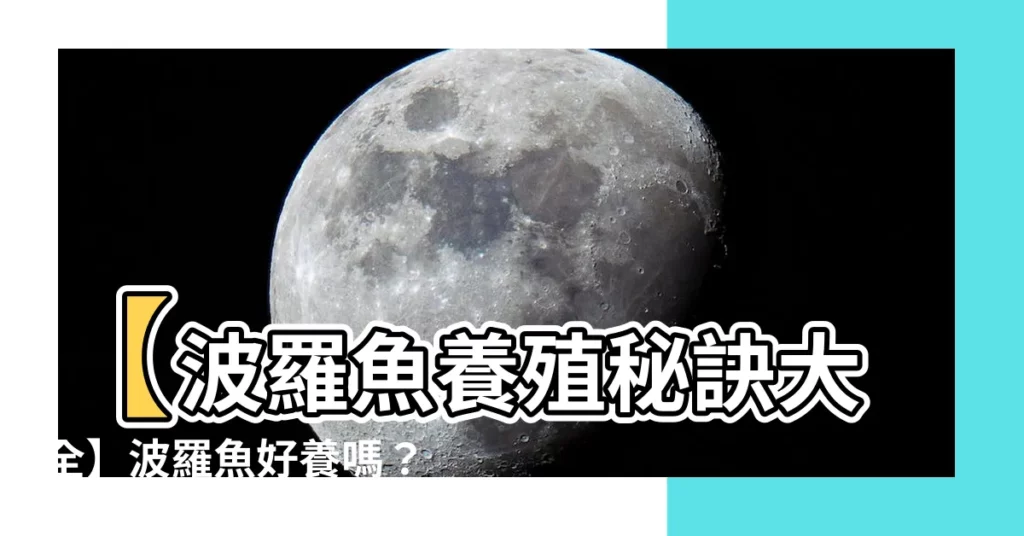 【波羅魚好養嗎】【波羅魚養殖秘訣大全】波羅魚好養嗎？看看專家怎麼説！