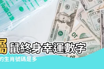 【老鼠生肖號碼】屬鼠終身幸運數字 |鼠的生肖號碼是多少 |