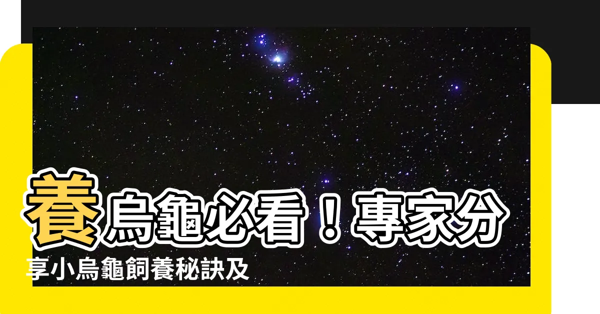 【養烏龜吃什麼】養烏龜必看！專家分享小烏龜飼養秘訣及最適合食物