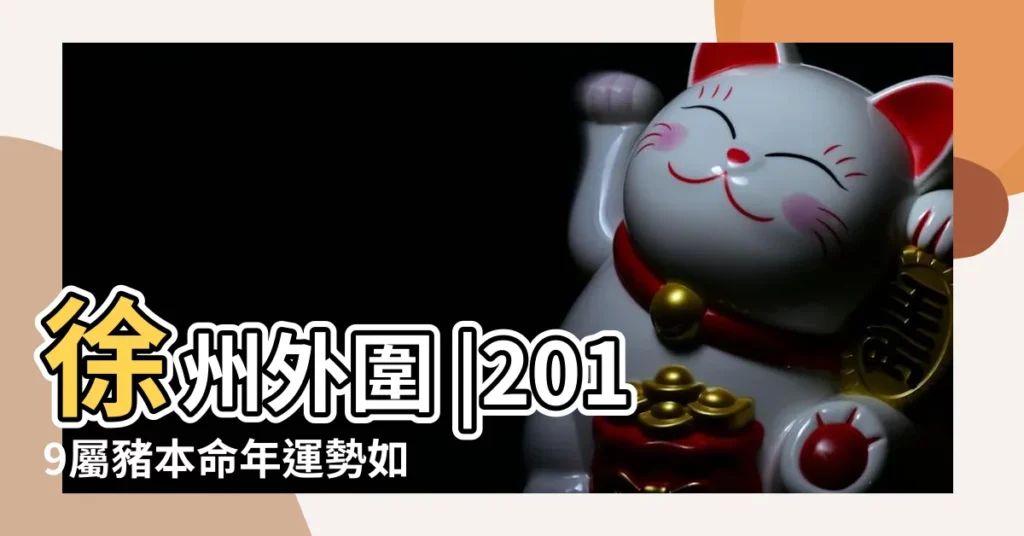 徐州外圍 |2019屬豬本命年運勢如何 |吉祥禮行業權威發佈 |【屬豬人2019年每月運勢豆瓣網】