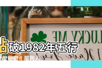 【1982年五行缺什麼】點破1982年五行缺什麼秘密！屬狗人一生地運全解析